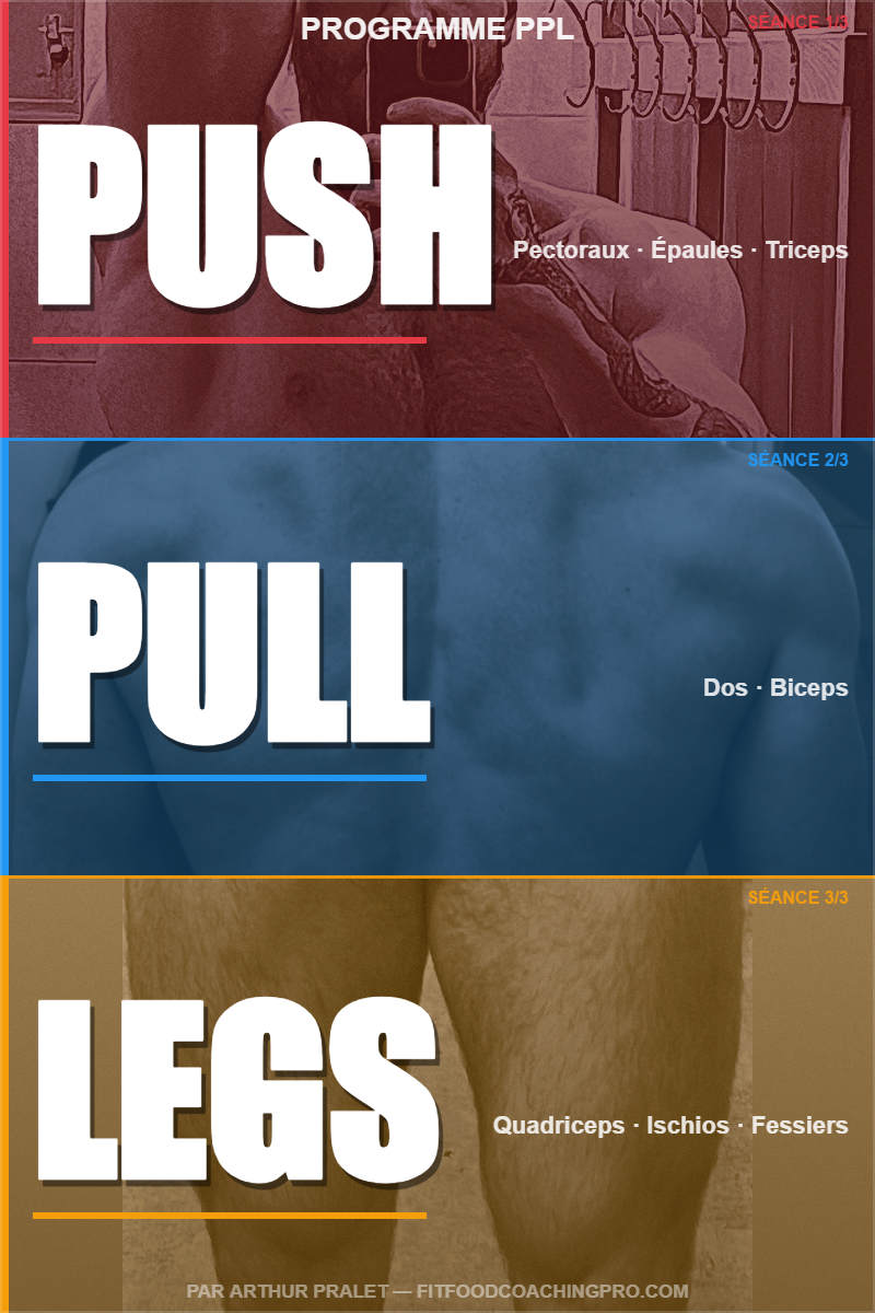 Programme PPL — Push Pull Legs